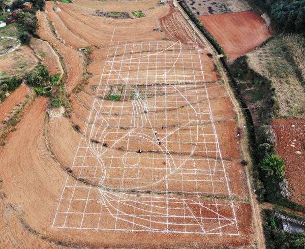 艺术造型放线02文字放线01文字放线02在烈日和红土之间展开大地艺术的