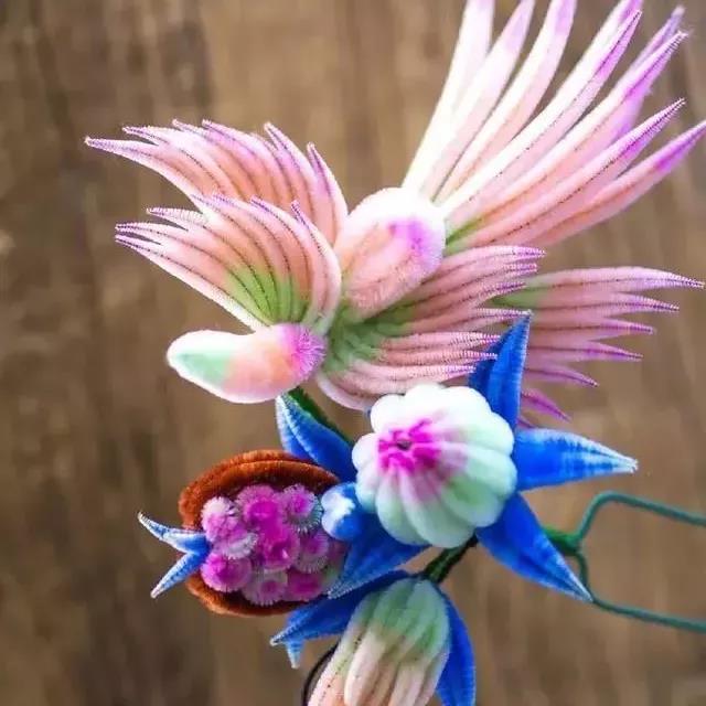 微信图片_20211028122356.jpg 微信图片_20211028122356.jpg