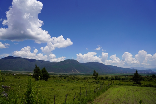 【魅力工程】-建筑工程学院专业实践“三下乡”系列（二）——深入村落调研，关注乡村振兴 第 4 张