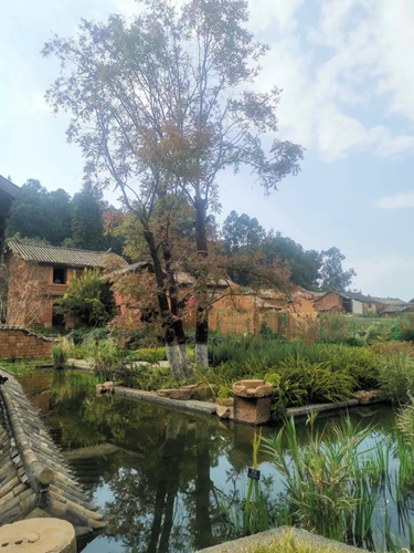 【魅力工程】-2021级本科建筑学班《专业社会实践》实训课程纪实 第 4 张