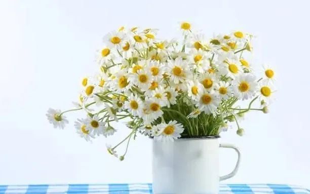 3.jpg 【心灵之家】管理时间 第 2 张