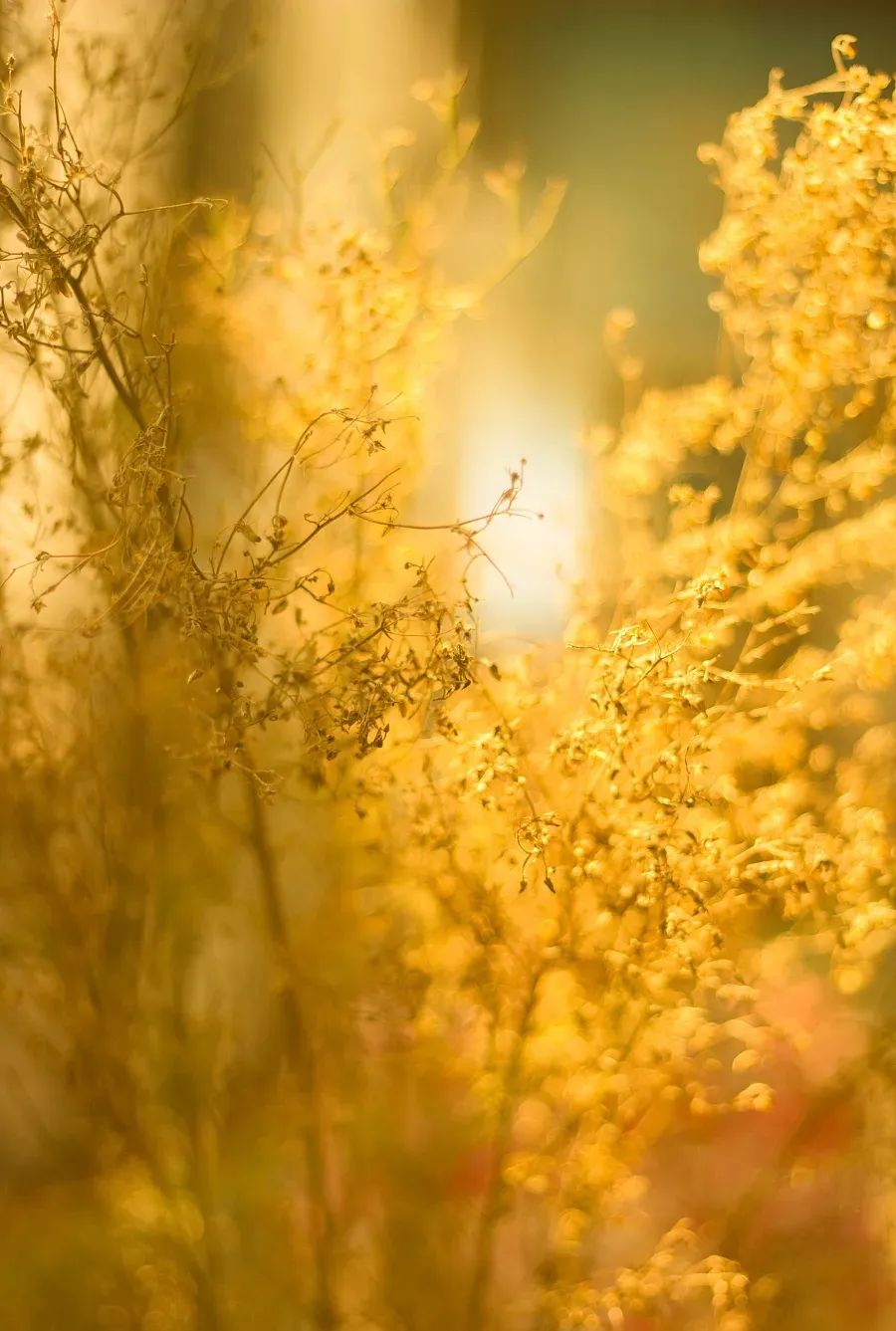 2.jpg 【心灵之家】管理时间 第 3 张