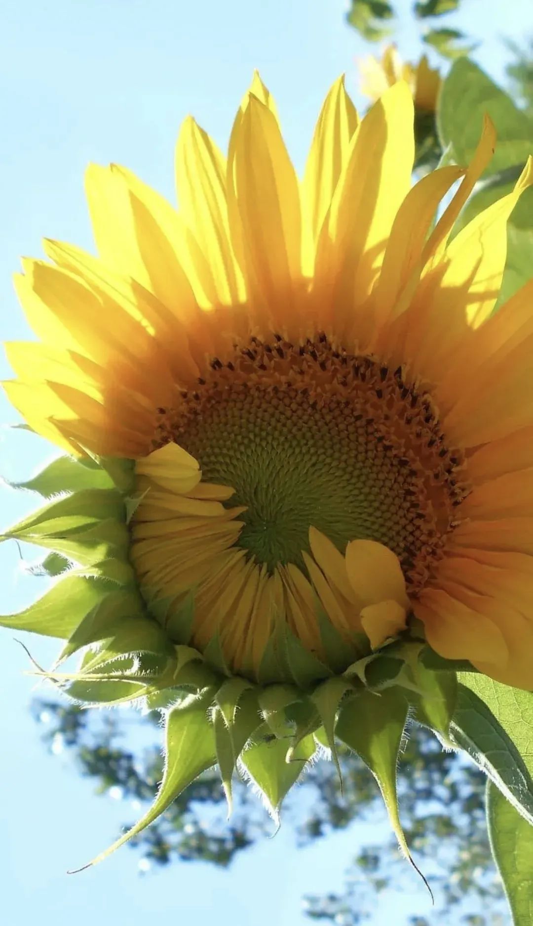 5.jpg 【心灵之家】管理时间 第 5 张