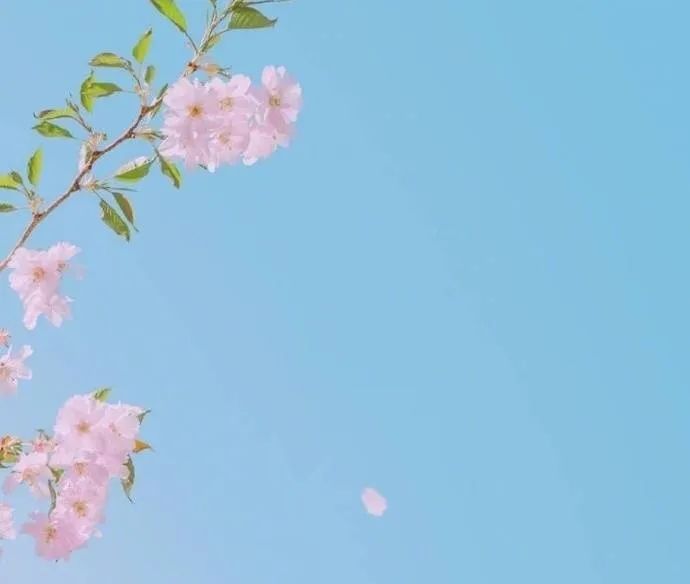 8.jpg 【心灵之家】管理时间 第 8 张