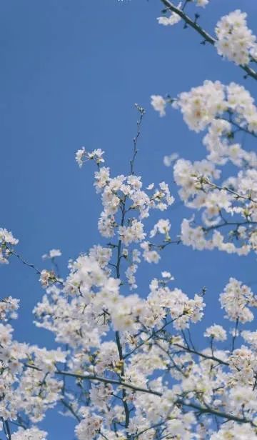 9.jpg 【心灵之家】管理时间 第 9 张