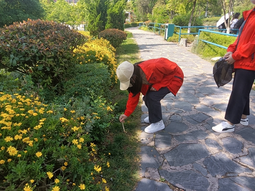【魅力工程】-弘扬雷锋精神，砥砺初心使命————建筑工程学院在行动！ 第 4 张