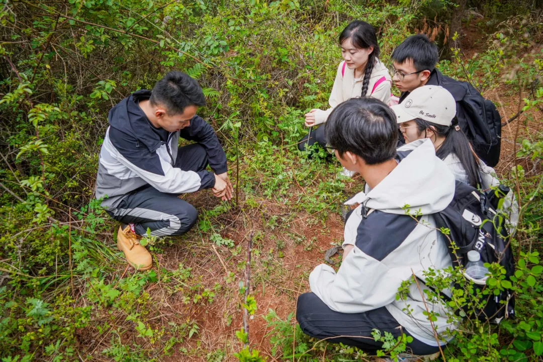 把课堂搬进山间，他们还带回来这些东西... 第 8 张