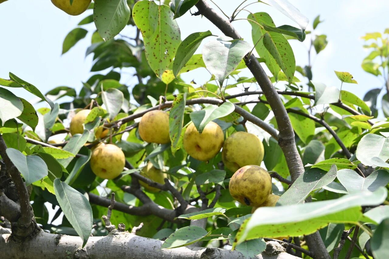 914b2c8376562262c822a660e04d0a4a.jpg 914b2c8376562262c822a660e04d0a4a.jpg