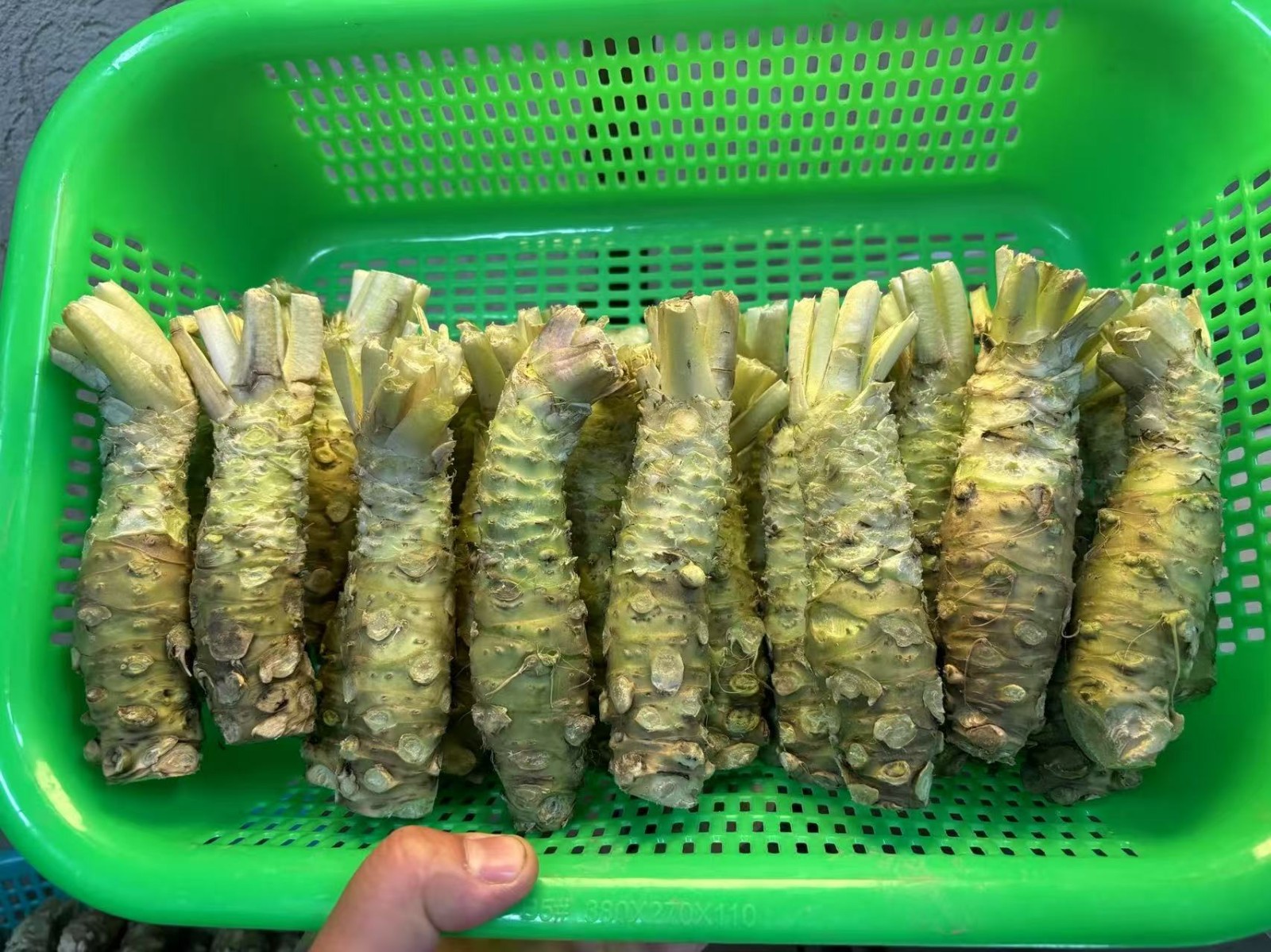 太上头了🤤，这个蘸料经管人研发的！ 第 15 张