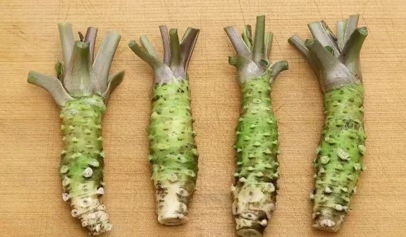 太上头了🤤，这个蘸料经管人研发的！ 第 3 张